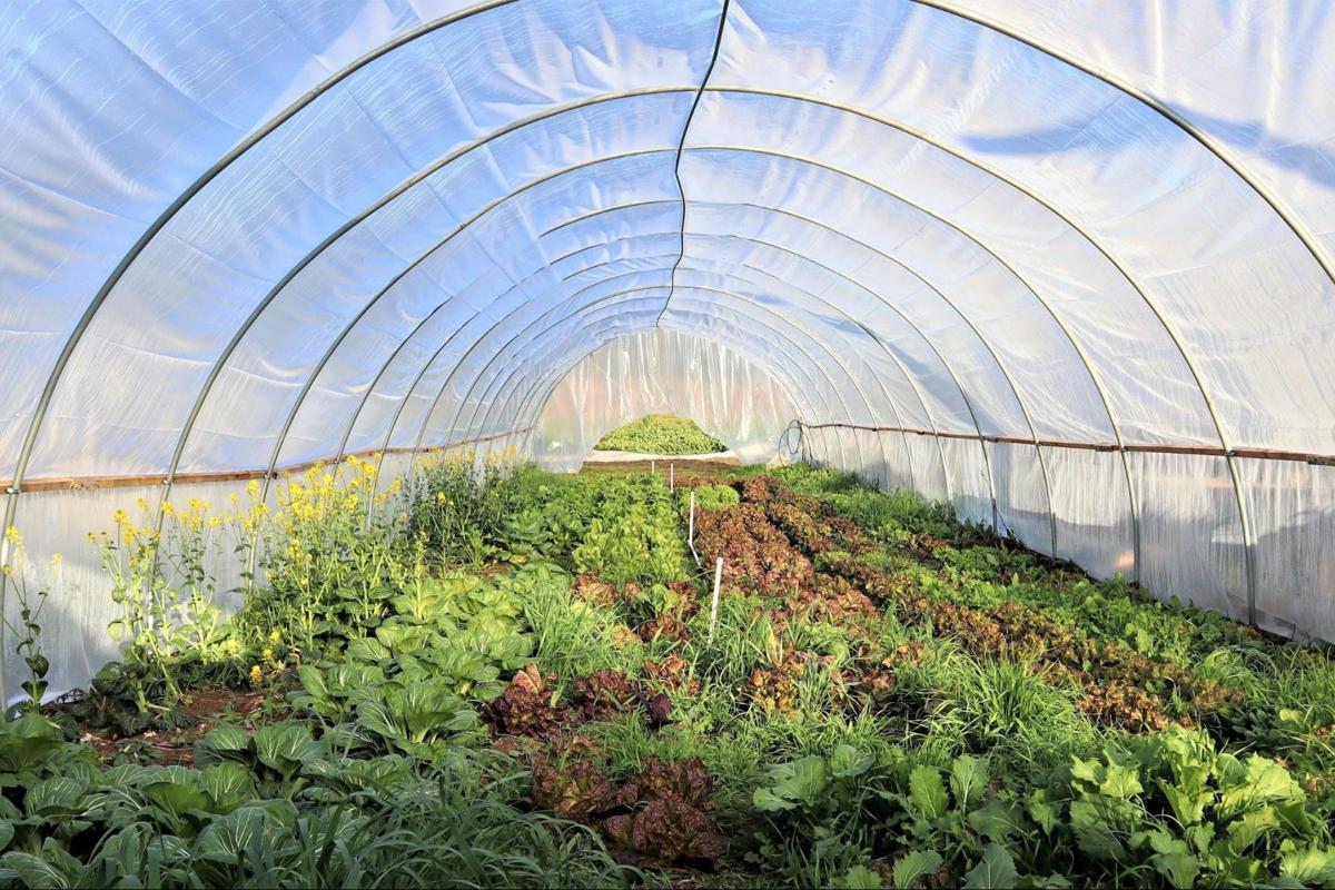 How To Heat Your Greenhouse - Methods & Options