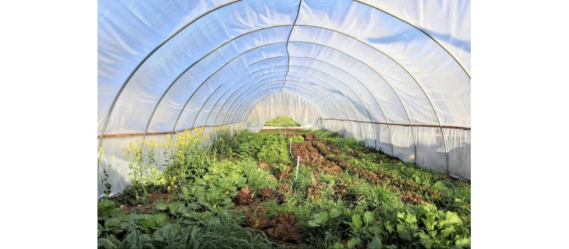 How To Heat Your Greenhouse - Methods & Options