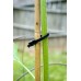 Bamboo Garden Stakes - 2 Foot