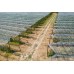 Garden Insect Netting Screen - 40 Mesh - Choose Your Size