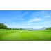 Straw Erosion Control Blanket - Grass Seeding Kit - 25,000 Sq/Ft