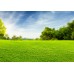 100% Biodegradable Straw/Coconut Erosion Control Blanket - Grass Seeding Kit - 25,000 Sq/Ft