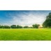 100% Biodegradable Straw/Coconut Erosion Control Blanket - 1000 Sq/Ft Grass Seeding Kit 