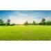 Straw Erosion Control Blanket - Grass Seeding Kit - 25,000 Sq/Ft
