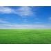 100% Biodegradable Straw/Coconut Erosion Control Blanket - 1000 Sq/Ft Grass Seeding Kit 