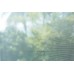 Garden Insect Netting Screen - 40 Mesh - Choose Your Size