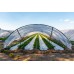 1 Year UV Resistant 6 mil Clear Nursery Greenhouse Plastic