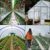 4 Year UV Resistant 8 mil Heavy Duty Clear Greenhouse Covering - Choose Your Size
