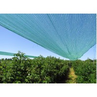 Crop Saver Insect Net 