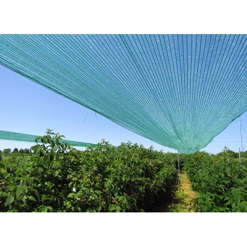 Crop Saver Insect Net 