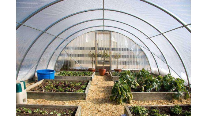 Greenhouse & Tunnel Supplies