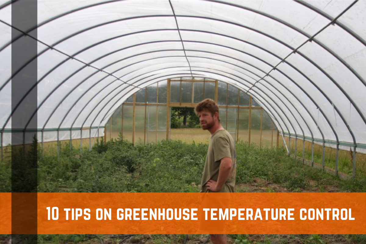 https://farmplasticsupply.com/image/cache/10%20tips%20on%20greenhouse%20temperature%20control-1200x800.png