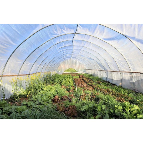 6 Mil Uv Protective Greenhouse Plastic Farm Plastic Supply