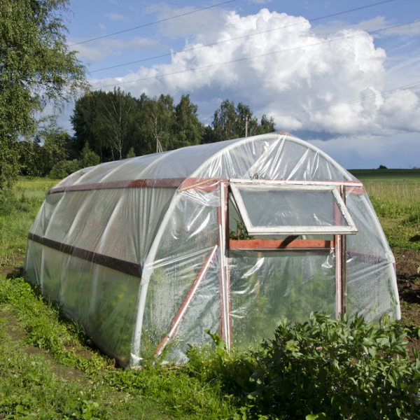 6 Mil UV Protective Greenhouse Plastic Farm Plastic Supply
