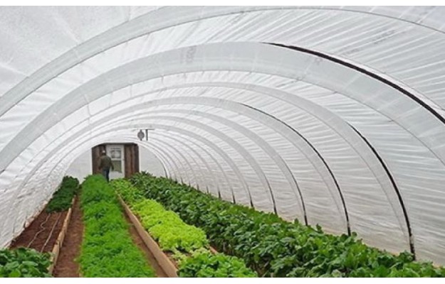 Farming Ultra Durable - 4 Year UV Resistant Polyethylene Greenhouse Film for Gardening Farm Plastic Supply 32' x 40' Clear Greenhouse Plastic Sheeting Agriculture 8 mil - 