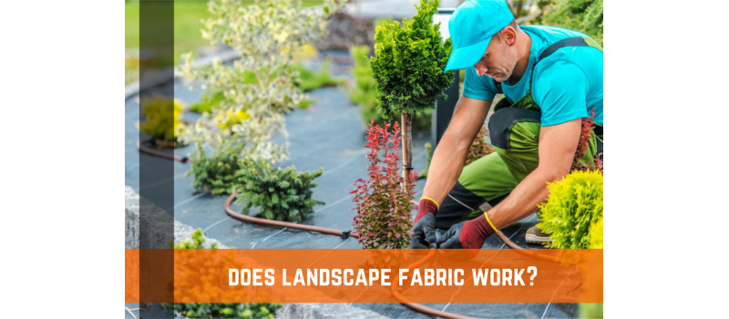 Does Landscape Fabric Work?