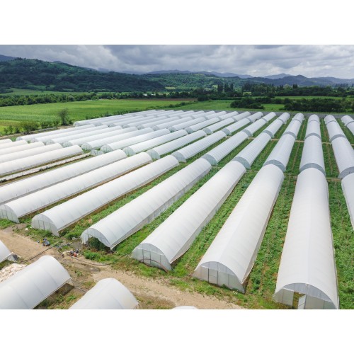 20 Mil String Reinforced Sheeting | Greenhouse Plastic Film | Farm ...