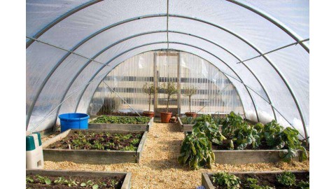 Greenhouse Plastic Sheeting | White, Black, IRAC, & Clear Plastic Film