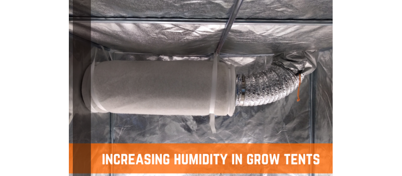 How To Increase Humidity In Grow Tent
