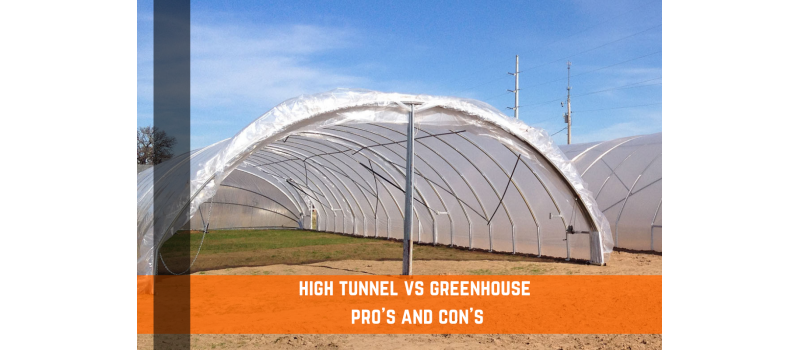 High Tunnel vs. Greenhouse - Pros and Cons of Each | Farm Plastic 