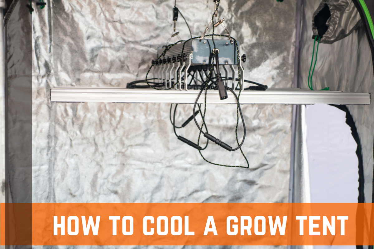 How To Cool Your Grow Tent