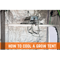 How to Lower Temperature in Grow Tent