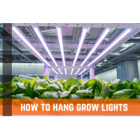 How To Hang Grow Lights: Strategies, Tips, & Techniques 