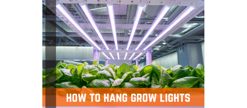 How To Hang Grow Lights: Strategies, Tips, & Techniques