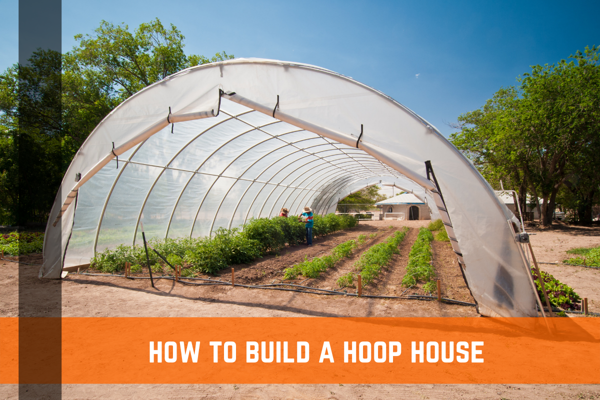 How to Build a Hoop House Greenhouse