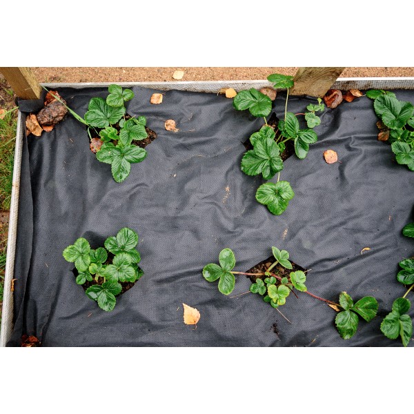 3' 6' Wide NonWoven Landscape Fabric Landscaping Fabric for Sale