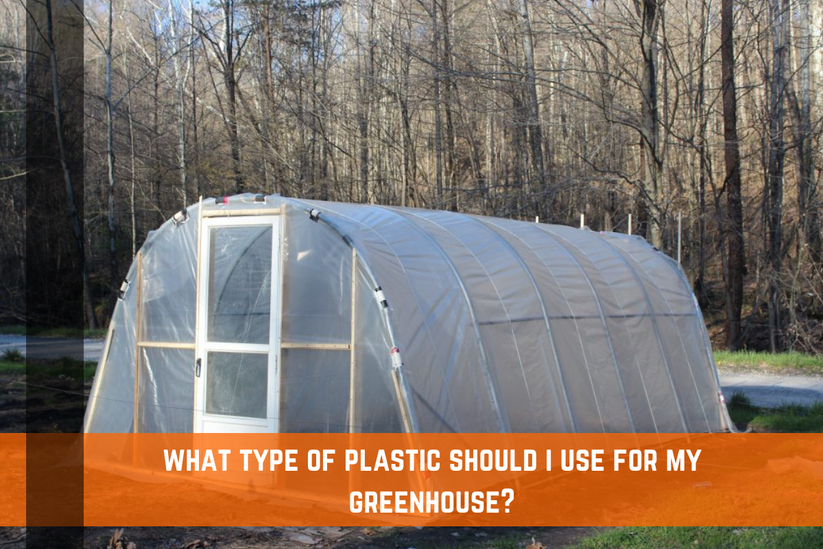 What Type of Greenhouse Plastic Should I Use for my Greenhouse?