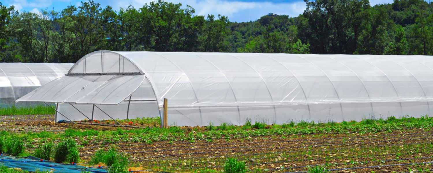 High Tunnel vs. Greenhouse - Pros and Cons of Each | Farm Plastic Supply