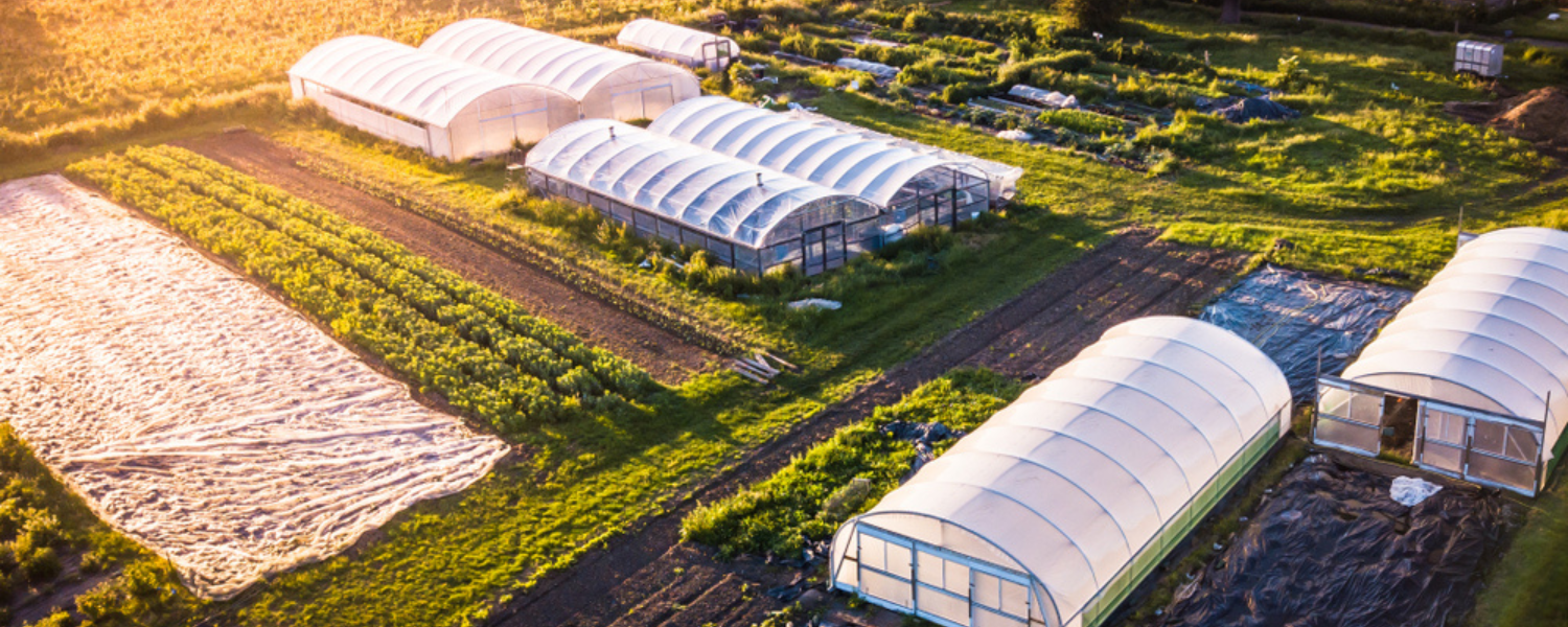 high-tunnel-vs-greenhouse-pros-and-cons-of-each-farm-plastic-supply