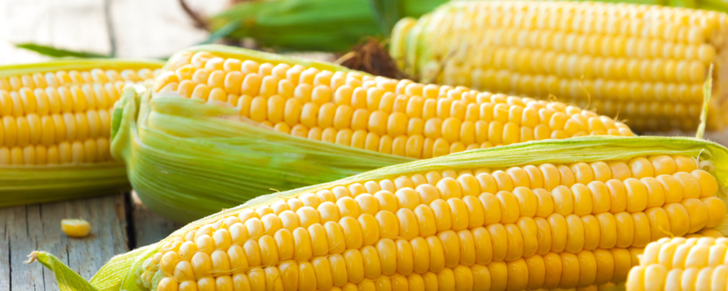 Canned Whole Kernel Corn - Happy Harvest