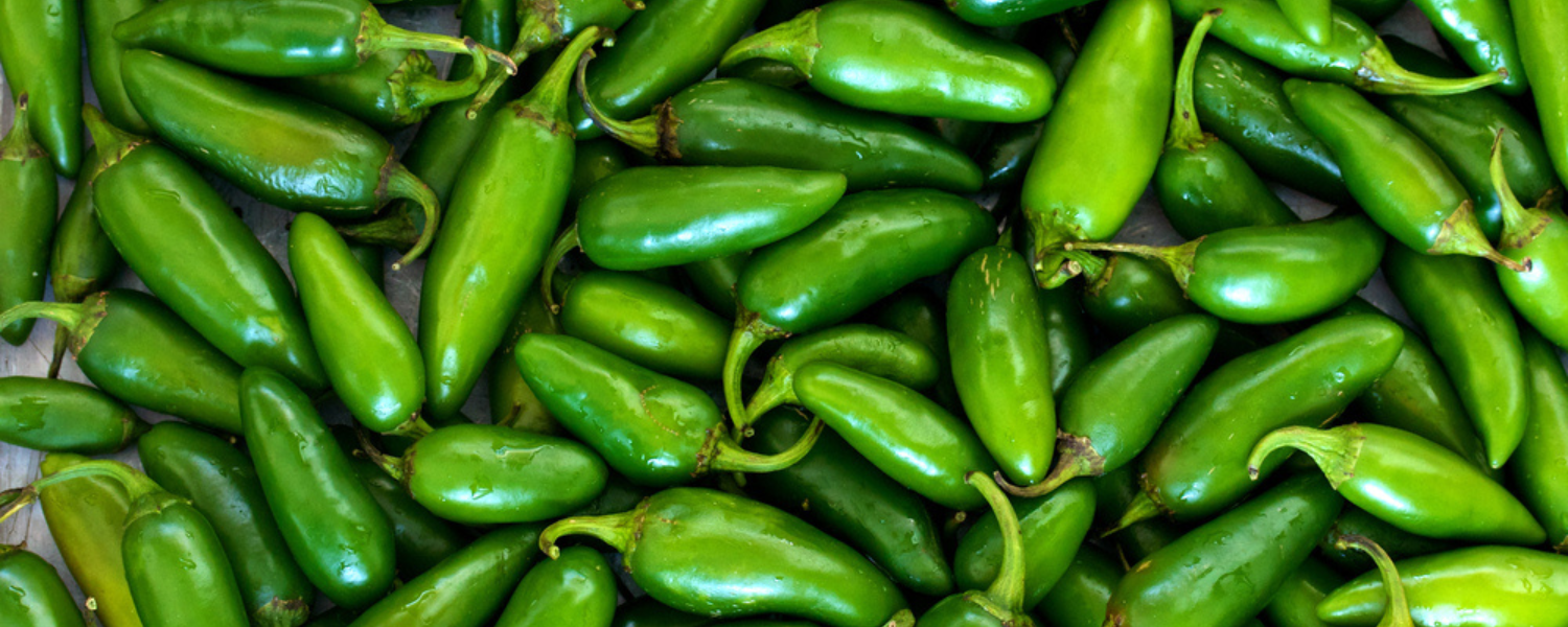 RIPE JALAPENOS Are Red and Taste Great! - Chili Pepper Reviews